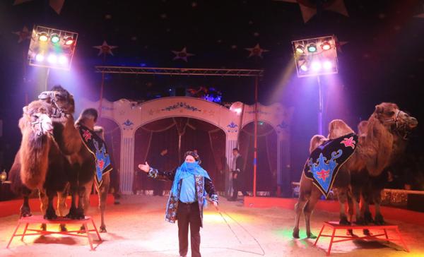Foto: Circus Montana Foto: Circus Montana
