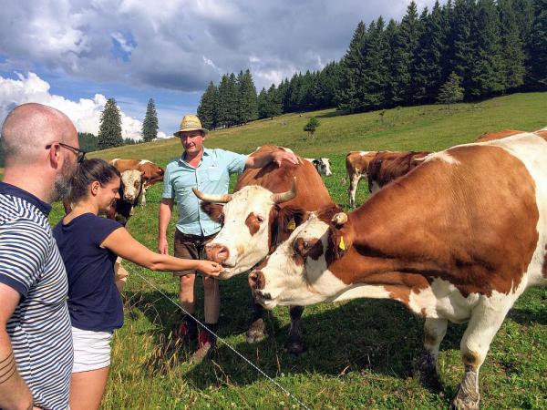 Der Schwarzwald schmeckt - Online-Kunden der Initiative „Cowfunding“ unterstützen Landwirte im Biosphärengebiet Schwarzwald 
Ewald Sandmann aus Oberried zeigt Städtern im Biosphärengebiet Schwarzwald, wo ihr Fleisch herkommt

Foto: Cowfunding