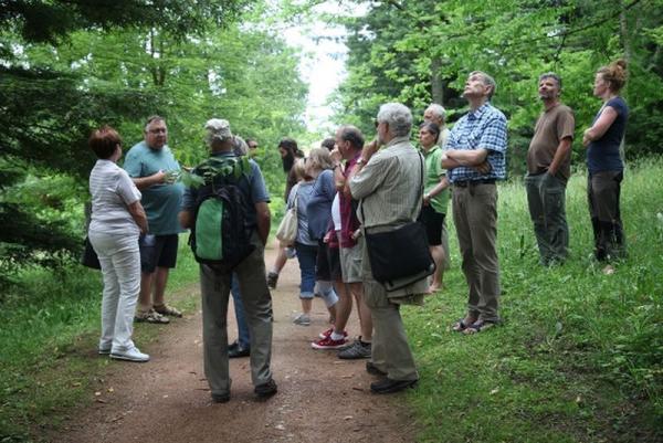  Baumkulturtage 2018
Die Führung von Harald Schwanz durch den Kurpark war ein botanisches Erlebnis der besonderen Art. (Bildquelle: Petra Reidel)