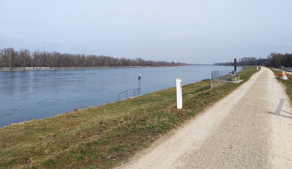 Hochwasserrückhalteraum Breisach/Burkheim: Bau eines kleinen Einlassbauwerks beginnt.
Rheinufer nördlich des Breisacher Pionierhafens, wo das kleine Einlassbauwerk errichtet wird.
Foto: Regierungspräsidium Freiburg Hochwasserrückhalteraum Breisach/Burkheim: Bau eines kleinen Einlassbauwerks beginnt.
Rheinufer nördlich des Breisacher Pionierhafens, wo das kleine Einlassbauwerk errichtet wird.
Foto: Regierungspräsidium Freiburg