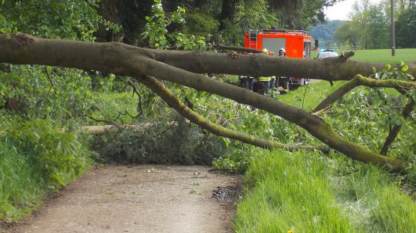 Bild: Feuerwehr Denzlingen