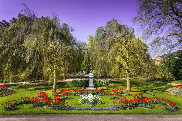 Ab 21. Juli: Stadtpark Lahr (Bild) wird wieder eintrittspflichtig.
Foto: Stadt Lahr Ab 21. Juli: Stadtpark Lahr (Bild) wird wieder eintrittspflichtig.
Foto: Stadt Lahr