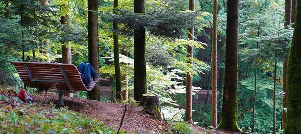 „Shinrin Yoku“ - Waldbaden im Käppeledobel Bollschweil - St. Ulrich
Bild: Kur und Bäder GmbH Bad Krozingen „Shinrin Yoku“ - Waldbaden im Käppeledobel Bollschweil - St. Ulrich
Bild: Kur und Bäder GmbH Bad Krozingen