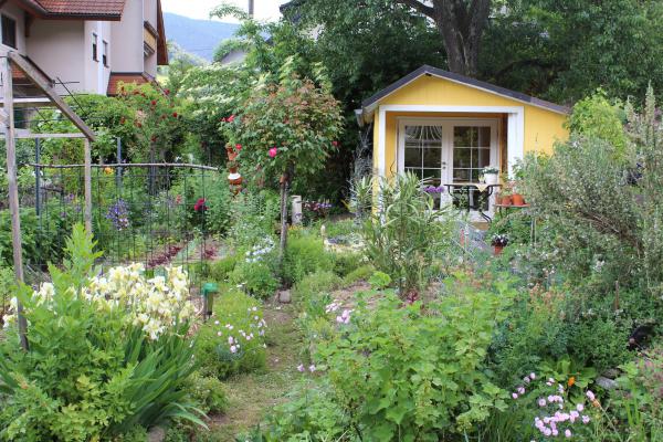 Der Bauerngarten von Rita Dauenhauer kann am Sonntag besucht werden.
Foto: Landratsamt Emmendingen – Ulrich Spitzmüller Der Bauerngarten von Rita Dauenhauer kann am Sonntag besucht werden.
Foto: Landratsamt Emmendingen – Ulrich Spitzmüller