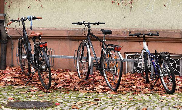 Lahrer Klima-Kolumne (Tipp Nr. 18): Machen Sie Ihr Fahrrad fit für die Winter-Challenge! 
Geparkte Fahrräder im Herbst.

Foto: Stadt Lahr 