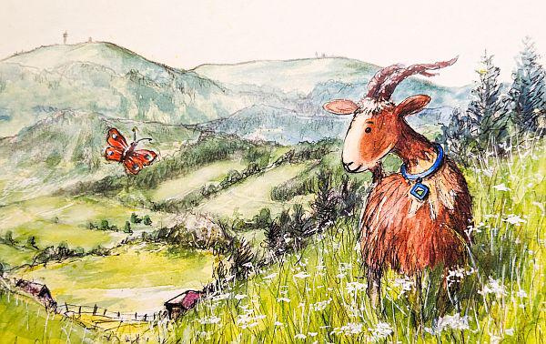 Abenteuer rund um die Ziege Meck und den Auerhahn - Naturpark Südschwarzwald hat exklusiv für Naturpark-Kindergärten eigenes Buch aufgelegt.
Cover Kinderbuch Meck: Der Titel des neuen Buches um die Ziege Meck und den Auerhahn.
Foto: Naturpark Südschwarzwald Abenteuer rund um die Ziege Meck und den Auerhahn - Naturpark Südschwarzwald hat exklusiv für Naturpark-Kindergärten eigenes Buch aufgelegt.
Cover Kinderbuch Meck: Der Titel des neuen Buches um die Ziege Meck und den Auerhahn.
Foto: Naturpark Südschwarzwald