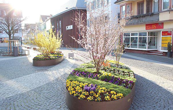 Frühlingserwachen in der Innenstadt von Lahr.
Frühlingsinseln auf dem Lahrer Urteilsplatz.

Foto: Stadt Lahr 