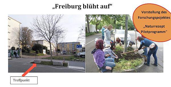 30. März: „Freiburg blüht auf“ - Grünflächen um Straßenbäume werden bepflanzt.
Foto: Stadt Freiburg 30. März: „Freiburg blüht auf“ - Grünflächen um Straßenbäume werden bepflanzt.
Foto: Stadt Freiburg
