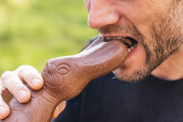 Mehr Schoko-Hunger auf Osterhasen als auf Weihnachtsmänner in der Regio.
Der „Ohren-Biss“ als Klassiker beim Anknabbern von Schoko-Hasen. Ob Nervennahrung oder Heißhunger: Schokolade ist süße Verführung und schmeckt. Jetzt will die Gewerkschaft NGG denen, die Schoko-Hasen, Pralinen, Schoko-Riegel & Co. produzieren, die Löhne versüßen.
Foto: Gewerkschaft Nahrung-Genuss-Gaststätten - Tobias Seifert Mehr Schoko-Hunger auf Osterhasen als auf Weihnachtsmänner in der Regio.
Der „Ohren-Biss“ als Klassiker beim Anknabbern von Schoko-Hasen. Ob Nervennahrung oder Heißhunger: Schokolade ist süße Verführung und schmeckt. Jetzt will die Gewerkschaft NGG denen, die Schoko-Hasen, Pralinen, Schoko-Riegel & Co. produzieren, die Löhne versüßen.
Foto: Gewerkschaft Nahrung-Genuss-Gaststätten - Tobias Seifert