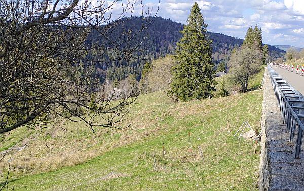 Regierungspräsidium Freiburg saniert Stützmauer an Bundesstraße 317 zwischen Bärental und Feldberg.

Foto: Regierungspräsidium Freiburg
