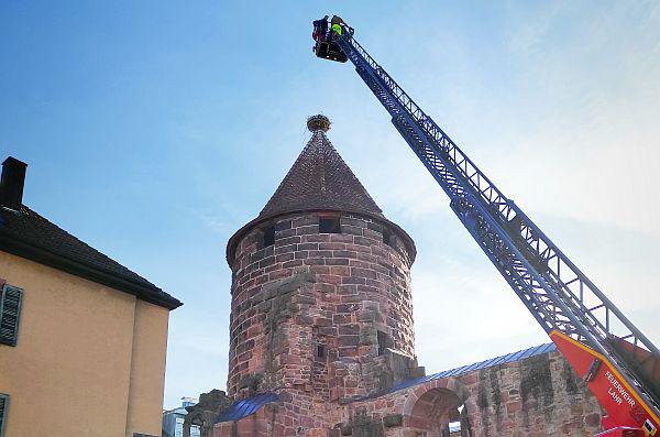 12. September: Storchennest auf Storchenturm in Lahr wird gereinigt.
Reinigungsaktion im September 2022: Die Feuerwehr Stadt Lahr bringt Wolfgang Hoffmann (NABU Ettenheim) und Hannes Hierlinger (Bau- und Gartenbetrieb Lahr) zum Storchennest auf dem Lahrer Storchenturm.
Foto: Stadt Lahr 12. September: Storchennest auf Storchenturm in Lahr wird gereinigt.
Reinigungsaktion im September 2022: Die Feuerwehr Stadt Lahr bringt Wolfgang Hoffmann (NABU Ettenheim) und Hannes Hierlinger (Bau- und Gartenbetrieb Lahr) zum Storchennest auf dem Lahrer Storchenturm.
Foto: Stadt Lahr