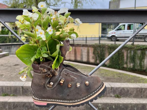 Ein alter, mit Begonien bepflanzter Wanderstiefel, schmückt das Geländer zur Glotter | Foto: Melanie Lackner, Gemeinde Denzlingen
Ein alter, mit Begonien bepflanzter Wanderstiefel, schmückt das Geländer zur Glotter | Foto: Melanie Lackner, Gemeinde Denzlingen