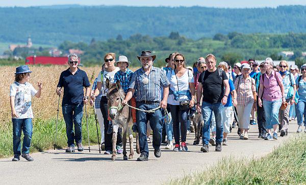 22./23. Juni 2024: Pilgern vor der Haustür mit der „Muschel in Europa“ bis in den größten Freizeitpark Deutschlands.
Pilgerfreunde auf einer Teilstrecke des Badischen Jakobswegs.
Foto: Europa-Park 22./23. Juni 2024: Pilgern vor der Haustür mit der „Muschel in Europa“ bis in den größten Freizeitpark Deutschlands.
Pilgerfreunde auf einer Teilstrecke des Badischen Jakobswegs.
Foto: Europa-Park