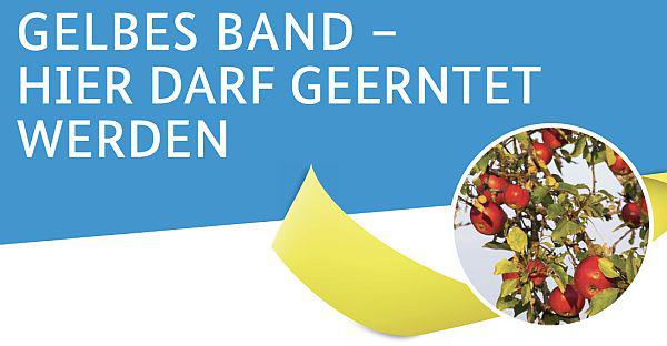 Gemeinde Friesenheim unterstützt Aktion „Gelbes Band“.
Foto: Gemeinde Friesenheim - Christian Pedant/stock.adobe.com Gemeinde Friesenheim unterstützt Aktion „Gelbes Band“.
Foto: Gemeinde Friesenheim - Christian Pedant/stock.adobe.com