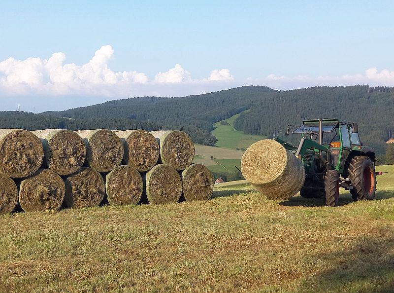 12. Mai 2025: Gesunde und schnelle Rezepte für den Feldalltag.
Foto: Badischer Landwirtschaftlicher Hauptverband e.V. - Oskar Ketterer 12. Mai 2025: Gesunde und schnelle Rezepte für den Feldalltag.
Foto: Badischer Landwirtschaftlicher Hauptverband e.V. - Oskar Ketterer